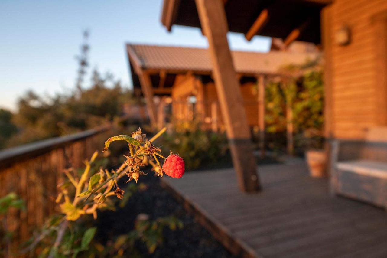 Gilad Cabins Odem Buitenkant foto