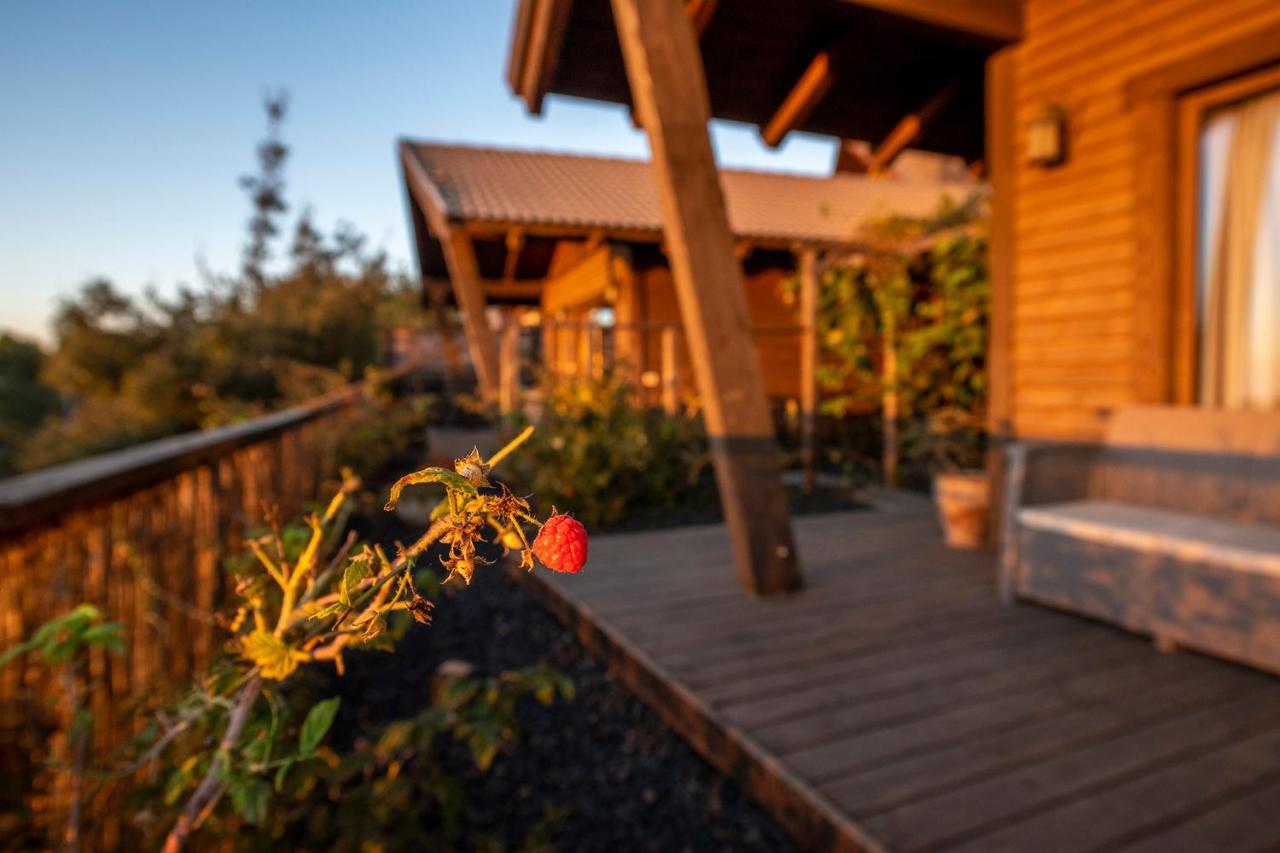 Gilad Cabins Odem Buitenkant foto