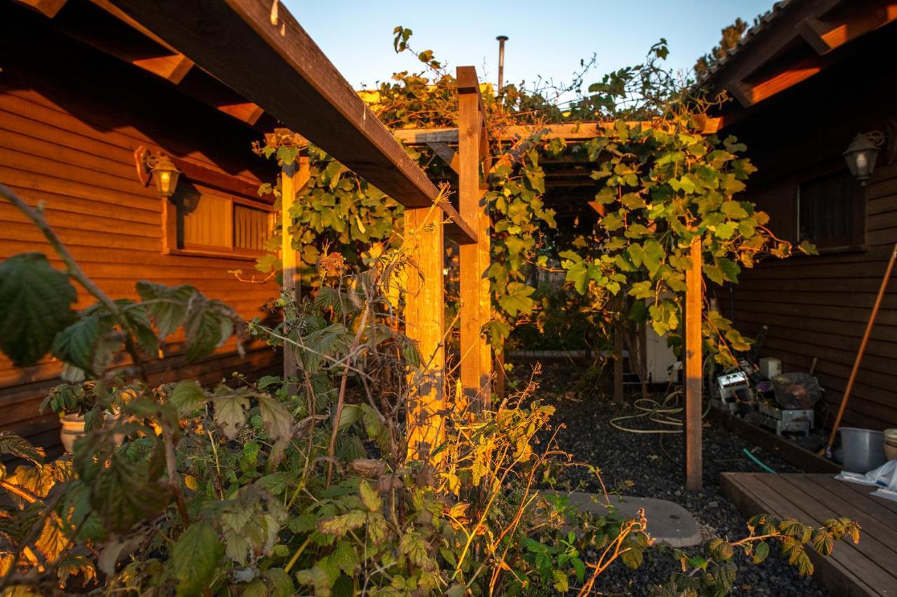 Gilad Cabins Odem Buitenkant foto